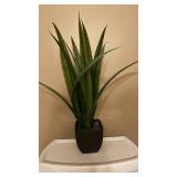 Snake Plant - Faux Sansevieria trifasciata in Black Square Pot