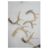 Antlers