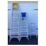 Werner Ladder Package