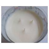 Country Holiday Winterberry 3 Wick ...