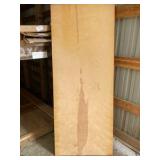 door slab #10