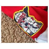 Joe Mauer Minnesota Twins Multi-Colored Jersey, Nike Brand, Men