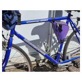 24 inch Mongoose Crossway Commuter