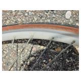 19 Inch Mongoose Crossway 250