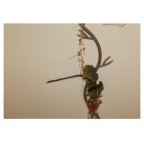 Wall Sconce Lamp