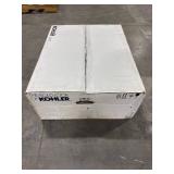 KOHLER Pinoir White Wall-Mount Sink (22x18)