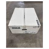 KOHLER Pinoir White Wall-Mount Sink (22x18)