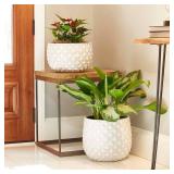 Pineapple Planter 14 qt Resin Weathered White (Pac