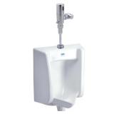Zurn 18.5-in W x 25.625-in H Wall-Mounted
