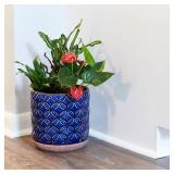 Griffy Small 2 qt. Blue Ceramic Indoor Pot (Pack o