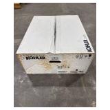 KOHLER Pinoir White Wall-Mount Sink (22x18)