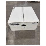 KOHLER Pinoir White Wall-Mount Sink (22x18)