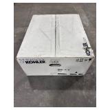KOHLER Pinoir White Wall-Mount Sink (22x18)