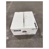KOHLER Pinoir White Wall-Mount Sink (22x18)