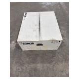 KOHLER Pinoir White Wall-Mount Sink (22x18)