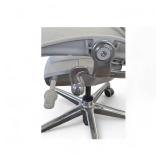 Rare Herman Miller Aeron Aluminum Base ReMaster Size B  Retail $1731