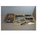 Assorted Pliers and Adjustable Wrenches