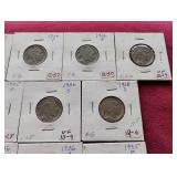 (17) Buffalo Nickels