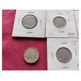 (17) Buffalo Nickels