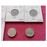 (17) Buffalo Nickels