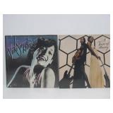 Great Collection of Vinyl Records - Disco, Trance, Many Obscure Titles, DJ & Promo Records & MORE #12