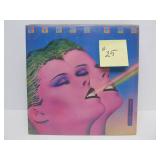 Great Collection of Vinyl Records - Disco, Trance, Many Obscure Titles, DJ & Promo Records & MORE #25