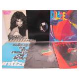 Great Collection of Vinyl Records - Disco, Trance, Many Obscure Titles, DJ & Promo Records & MORE #26