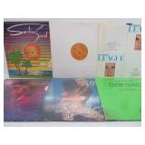 Great Collection of Vinyl Records - Disco, Trance, Many Obscure Titles, DJ & Promo Records & MORE #30