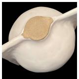 LL - White Ceramic Vase