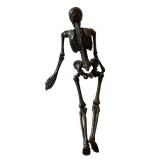 LLC - Set of 4 Metal Skeleton & Skull Sculptures