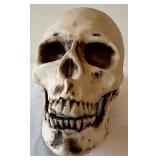 G - Halloween Decor - Candelabra, Three Skulls and a Thompson Ferrier Bonaparte Gothic Skull Candle