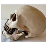 G - Halloween Decor - Candelabra, Three Skulls and a Thompson Ferrier Bonaparte Gothic Skull Candle