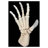G - Skeleton Bust with Hands - Wall-Hanging Resin Sculpture