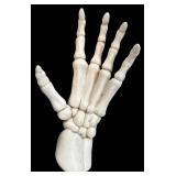 G - Skeleton Bust with Hands - Wall-Hanging Resin Sculpture