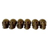 LLC - Pacific Giftware Steampunk Skull Trinket Box with Six Mini Metal Skulls