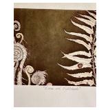 K - Ferns and Fiddleheads by Tallmadge Doyle Signed and Numbered (10/17 Ed. Var) Line Etching & Aquatint
