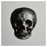 O - D.L. & Co Skull Note Cards - Box of 12