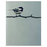 LLS - Matthew S. Rucker - My Little Chickadee (13x19 In) Bird on Light Blue Painting