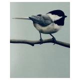 LLS - Matthew S. Rucker - My Little Chickadee (13x19 In) Bird on Light Blue Painting