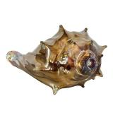 K - Adam Kaser - Hand-Blown Glass Shell Sculpture