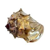K - Adam Kaser - Hand-Blown Glass Shell Sculpture
