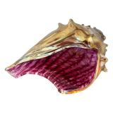 K - Adam Kaser - Hand-Blown Glass Shell Sculpture