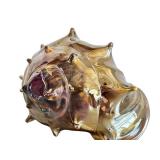 K - Adam Kaser - Hand-Blown Glass Shell Sculpture