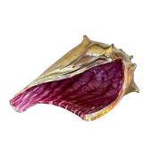 K - Adam Kaser - Hand-Blown Glass Shell Sculpture