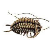 Allan Drummond Trilobite Replica - Ceraurus Species Fossil