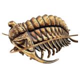 Allan Drummond Trilobite Replica - Ceraurus Species Fossil