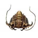 Allan Drummond Trilobite Replica - Ceraurus Species Fossil