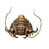 Allan Drummond Trilobite Replica - Ceraurus Species Fossil
