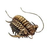 Allan Drummond Trilobite Replica - Ceraurus Species Fossil