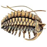 Allan Drummond Trilobite Replica - Ceraurus Species Fossil